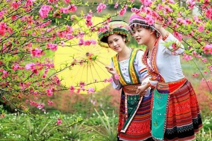 Tour Hạ Long - Ninh Bình - Hà Nội  - Sa Pa 4N3Đ