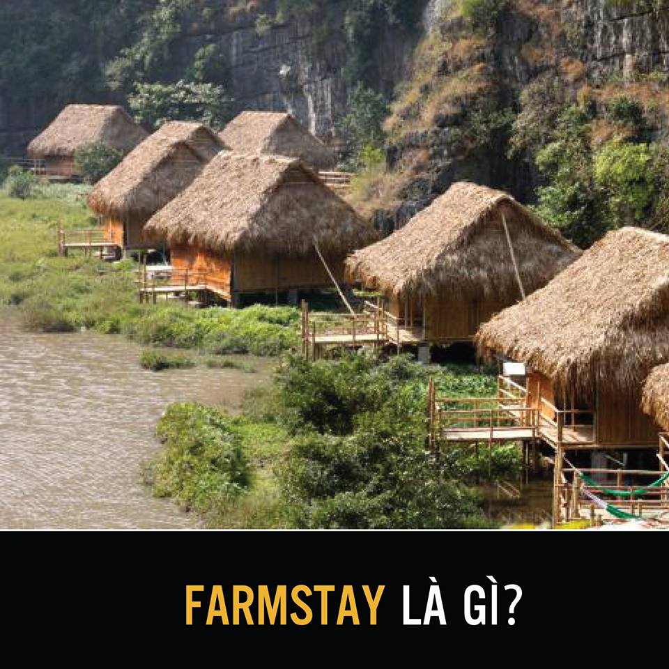 Phân biệt các loại hình kinh doanh dịch vụ lưu trú farmstay