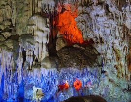 Khám phá Hang Đầu Gỗ – hang động hoang sơ, đẹp nhất vịnh Hạ Long