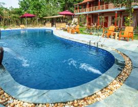 Tam Cốc Lavender - Homestay Ninh Bình