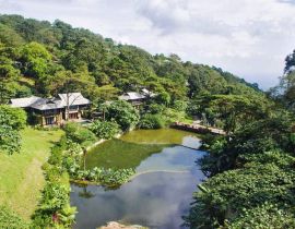 Viên ngọc Ẩn mình trong lòng núi Melía Bavi Mountain Retreat - a hidden mountain gem 