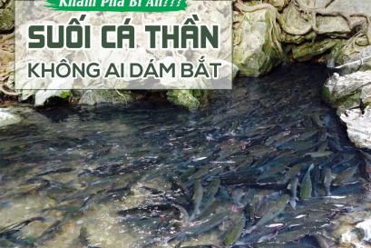 Quảng Ninh – Sầm Sơn – Suối Cá Thần 2 Ngày 1 Đêm