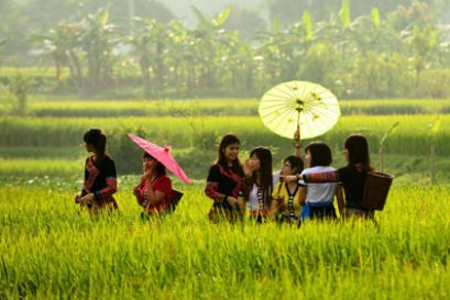 Tour Hà Nội - Mộc Châu - Ninh Bình 4 Ngày 3 Đêm