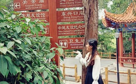 Hạ Long - Móng Cái Biển Trà Cổ - Đông Hưng Trung Quốc 3 Ngày 2 Đêm.