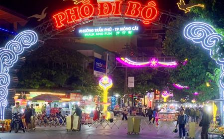 Hạ Long - Trà Cổ (Móng Cái) 2 Ngày 1 Đêm