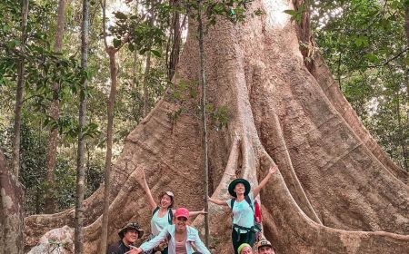 Nam Cát Tiên – Hành Trình Về Với Rừng Xanh