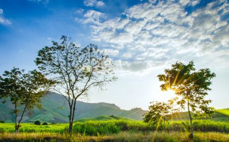 Tour Hà Giang Mùa Hoa