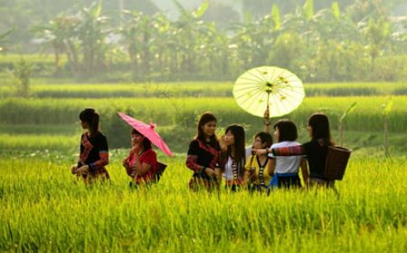 Tour Hà Nội - Mộc Châu - Ninh Bình 4 Ngày 3 Đêm