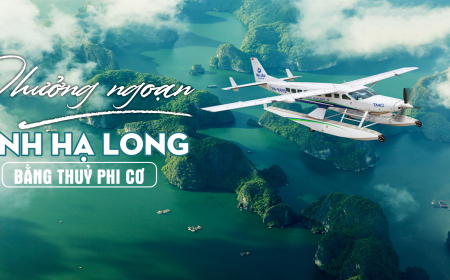 Tour Ngắm Vịnh Hạ Long Từ Thuỷ Phi Cơ