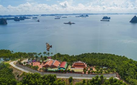 Tour Mới: Thăm Quan Vịnh Bái Tử Long Trong Ngày
