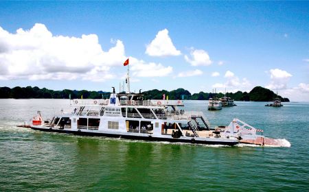 Hạ Long Cát Bà 2 Ngày 1 Đêm