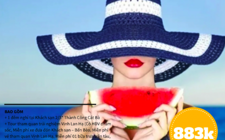Combo Cát Bà 2 Ngày Hè Rực Nắng