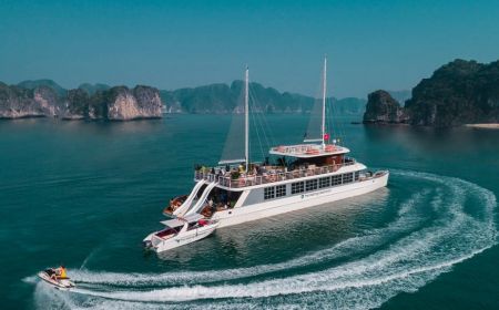 Tour Vịnh Hạ Long Vịnh Lan Hạ 1 Ngày – Du Thuyền Hạng Sang Catamaran ( 8 Tiếng)