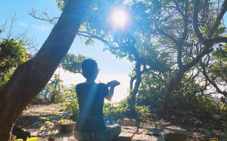 Shinrin Yoku – Tắm Rừng Theo Phong Cách Của Người Nhật