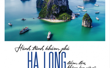 Tour Thăm Vịnh Hạ Long Tuyến 2 Khởi Hành Sáng