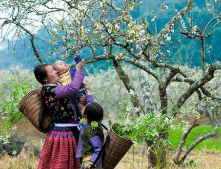 [Mộc Châu] Bản Lóng Luông Vẻ đẹp “níu Chân” Kẻ Lữ Hành