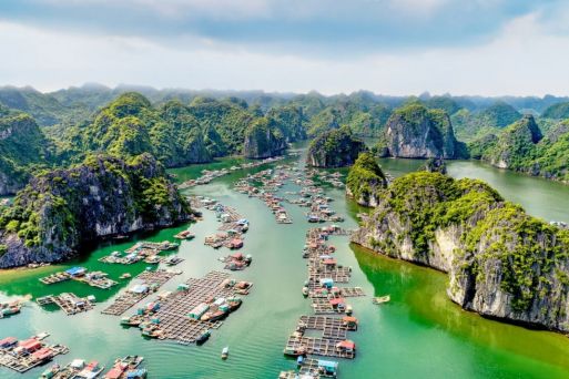 Top 3 tour vịnh Lan Hạ GIÁ RẺ NHẤT chỉ từ 450k