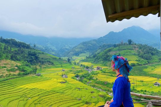 KHÁM PHÁ MÙA VÀNG DI SẢN SAPA - Ý LINH HỒ 🌾 ☀️ 