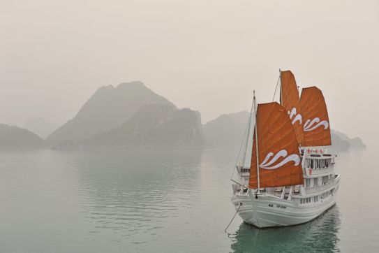 Du thuyền Paradise đón chào du khách thứ 500.000 tới Ha long bay