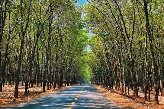 4.200km đi về nhà 2021: Chặng Sài Gòn - Tây Nguyên