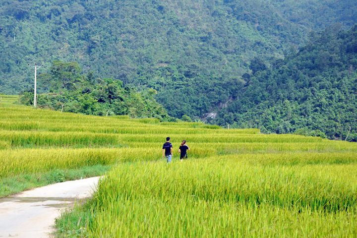 Tour Bình Liêu Ghép Đoàn 2 Ngày 1 Đêm