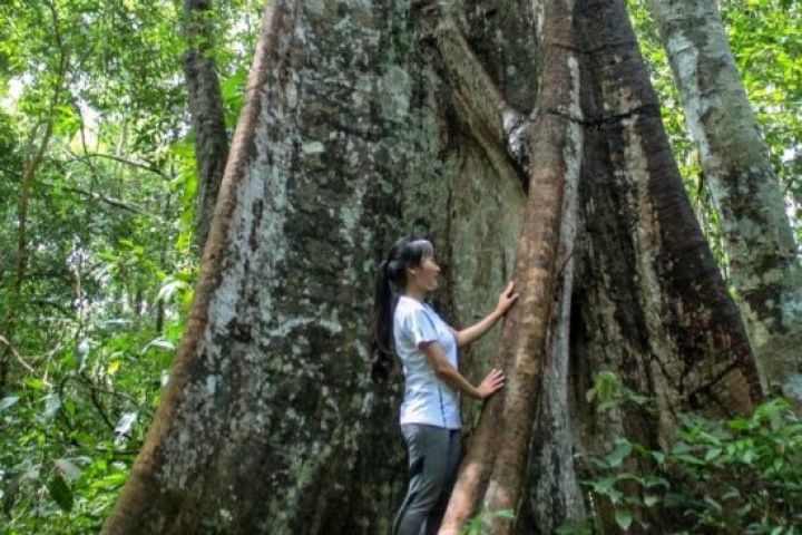 Shinrin Yoku – Trải Nghiệm Nghệ Thuật Tắm Rừng Tại Mã Đà