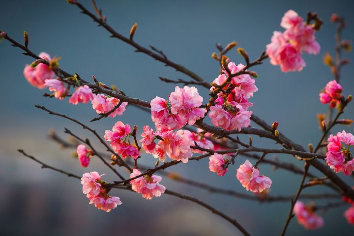 Hà Nội - Sapa - Chinh Phục Nóc Nhà Đông Dương Fansipan- Lào Cai