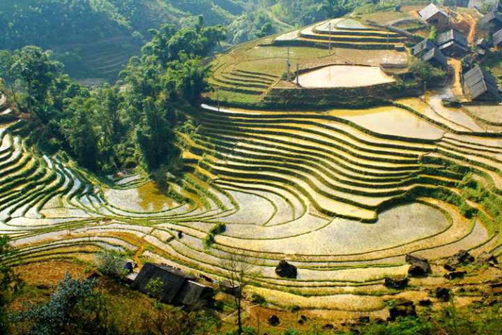 Tour Hà Nội- Sapa- Hạ Long Fullday - Ninh Bình - 4 Ngày