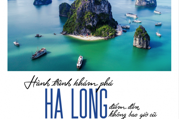 Tour Thăm Vịnh Hạ Long Tuyến 2 Khởi Hành Sáng