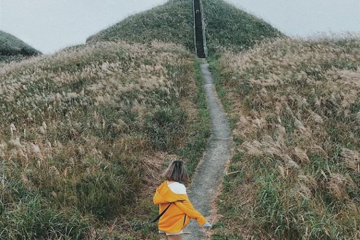 Thu Sang Rồi, ôm Trọn “Sapa Thu Nhỏ“ Ngay Giữa Lòng Quảng Ninh