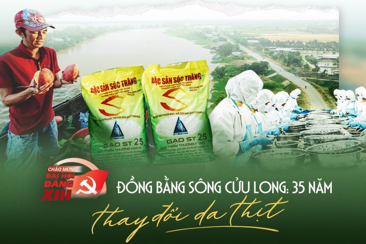 Đồng Bằng Sông Cửu Long Thay Da đổi Thịt