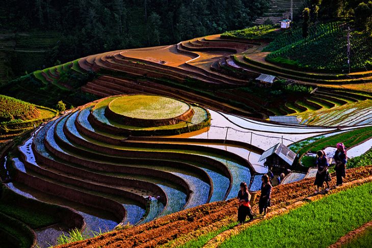 Vùng Cao Mùa Nước đổ Vùng Cao Mùa Nước đổ