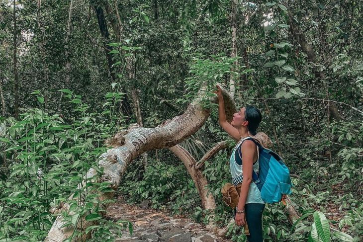 Vườn Quốc Gia Cát Tiên Mỏ Vàng Du Lịch