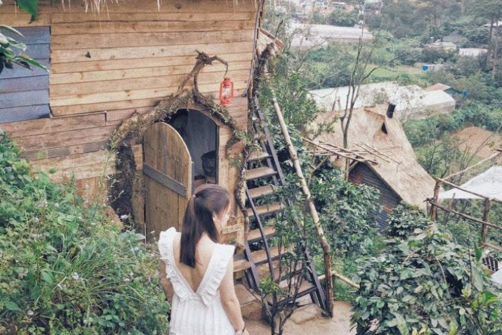 HOMSTAY HÓT NHẤT ĐÀ LẠT 2018