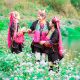 Bình Liêu Sapa Vùng Đông Bắc Trong Ngày Khởi Hành Từ Hạ Long Quảng Ninh