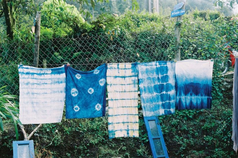 KHI TAY “NHÚNG CHÀM”: ĐI CÁT CÁT HỌC NGƯỜI H’MÔNG CÁCH NHUỘM CHÀM KHI TAY “NHÚNG CHÀM”: ĐI CÁT CÁT HỌC NGƯỜI H’MÔNG CÁCH NHUỘM CHÀM