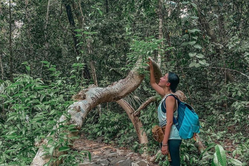 Vườn Quốc Gia Cát Tiên Mỏ Vàng Du Lịch