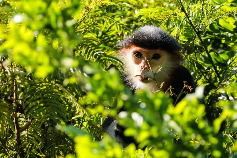 4 điểm Nghỉ Dưỡng Sinh Thái Dành Cho Gia đình 4 điểm Nghỉ Dưỡng Sinh Thái Dành Cho Gia đình