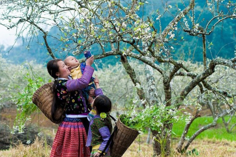 [Mộc Châu] Bản Lóng Luông Vẻ đẹp “níu Chân” Kẻ Lữ Hành