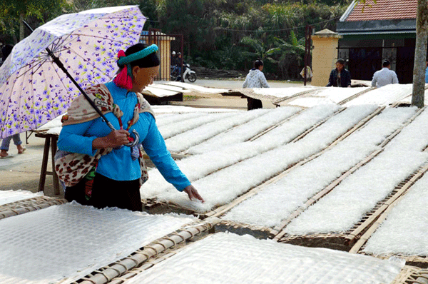 Làng nghề miến dong Bình Liêu