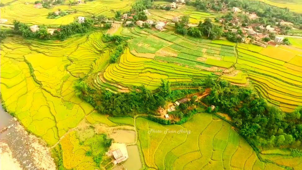 Ruộng bậc thang Bình Liêu