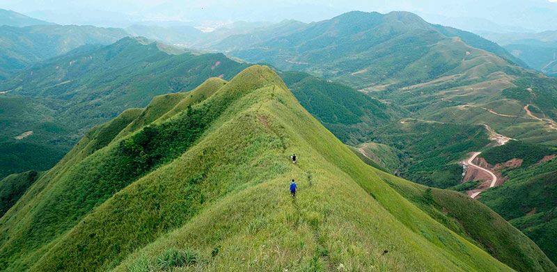 Sống lưng khủng long Bình Liêu 