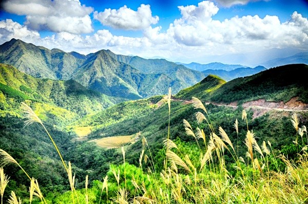 đường tuần tra biên giới Bình liêu Quảng Ninh