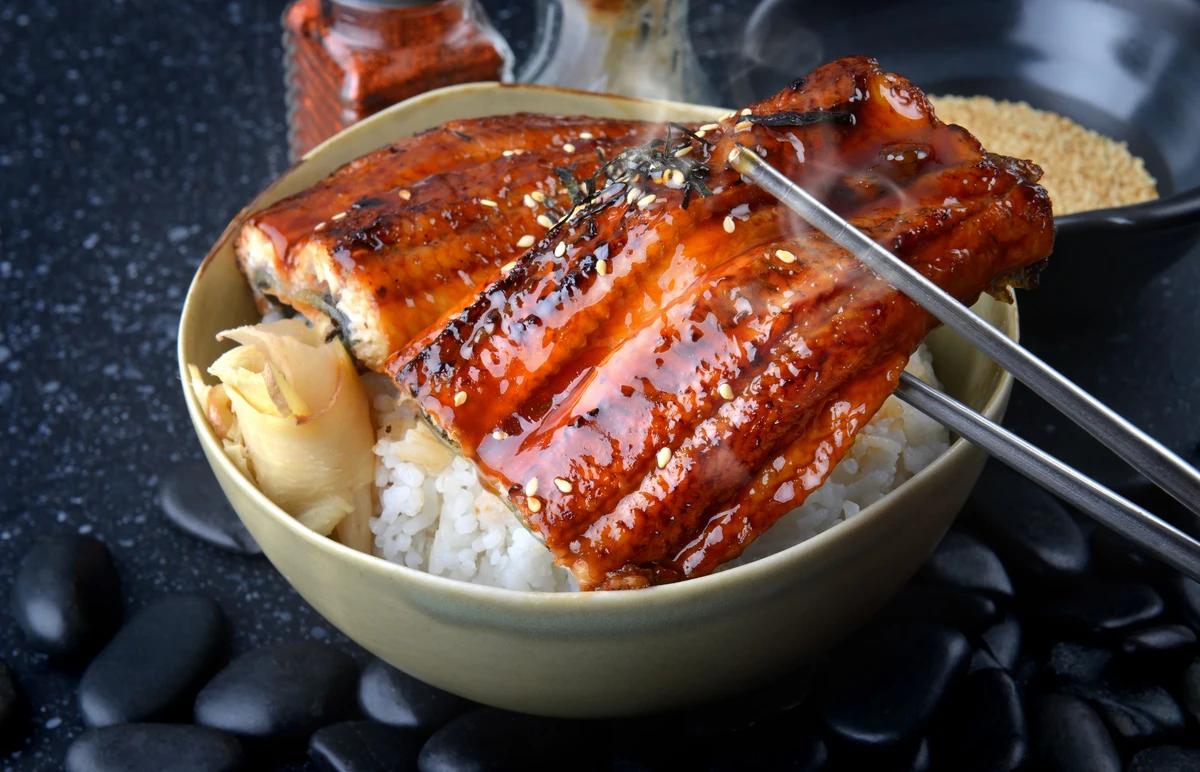 UNAGI DON- Cơm lươn Nhật