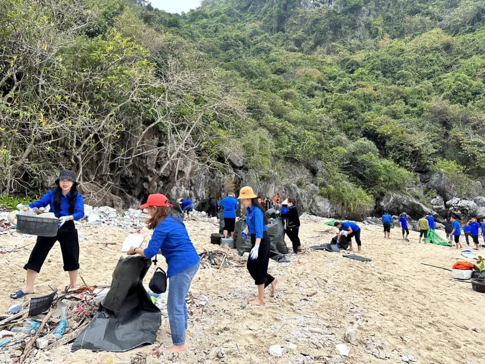 thanh niên dọn rác bãi biển hạ long