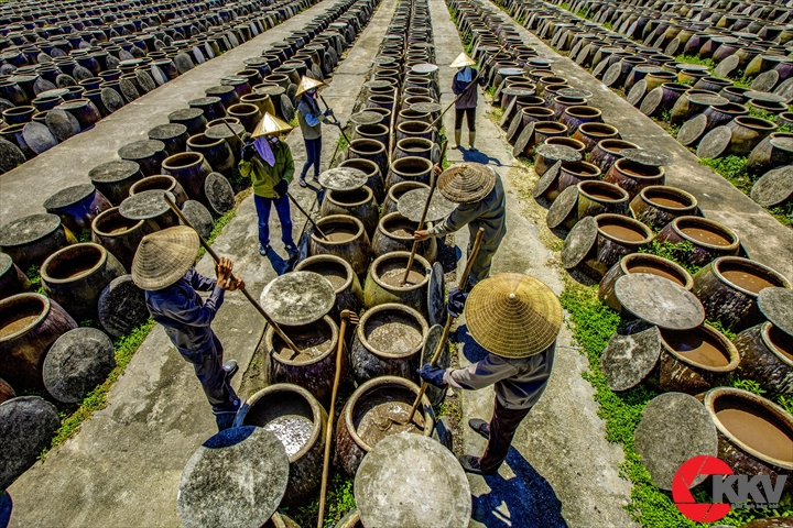 nước mắm cái rồng, vân đồn, quảng ninh