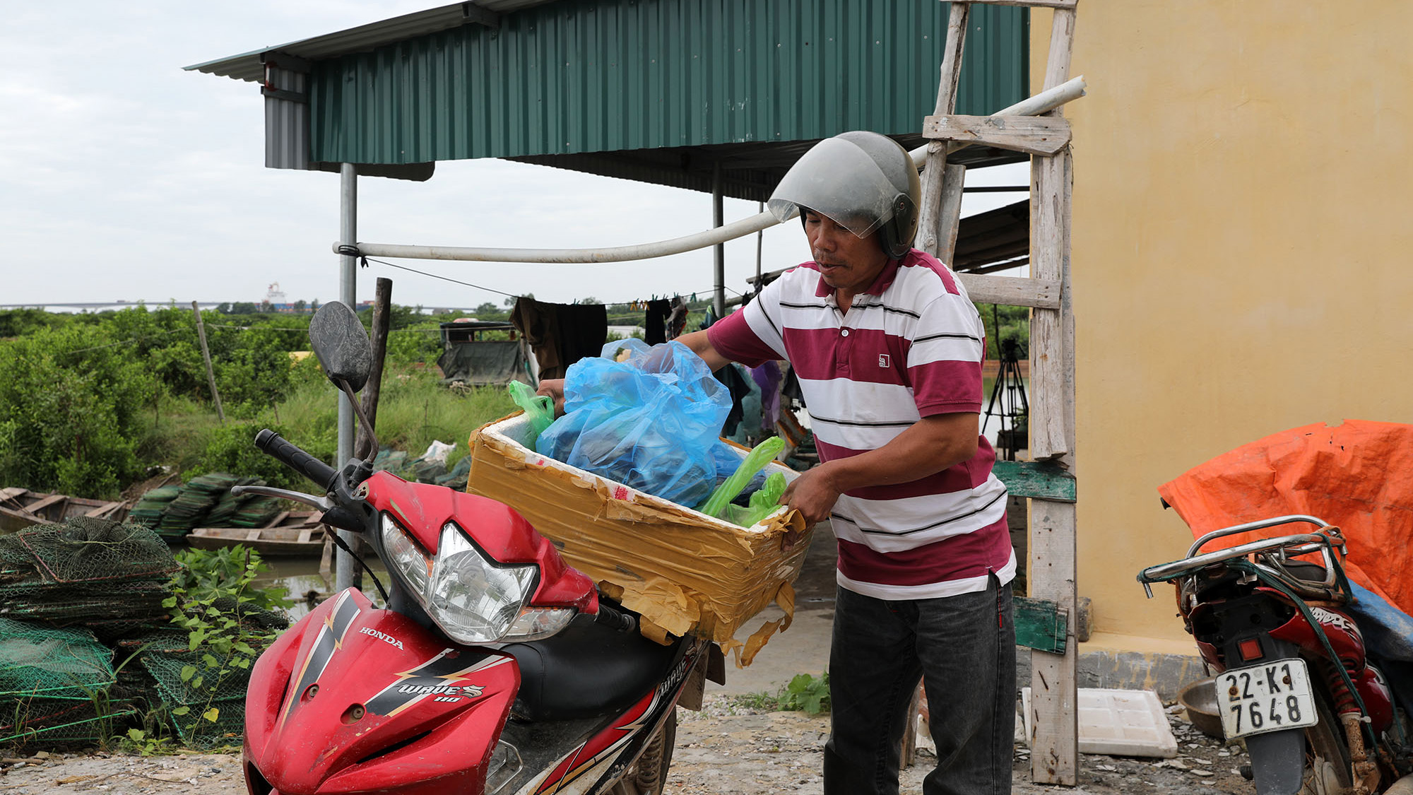 bán cua biển